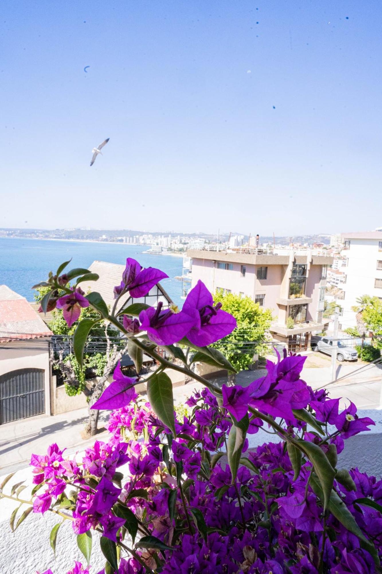 Hotel Vista Velero Viña del Mar Exterior foto